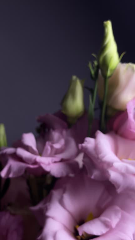 Pink eustoma and rose bouquet close-up on dark background — elegant floral composition with white buds, romantic flowers, wedding decoration, luxury blossom, beauty concept, natural elegance