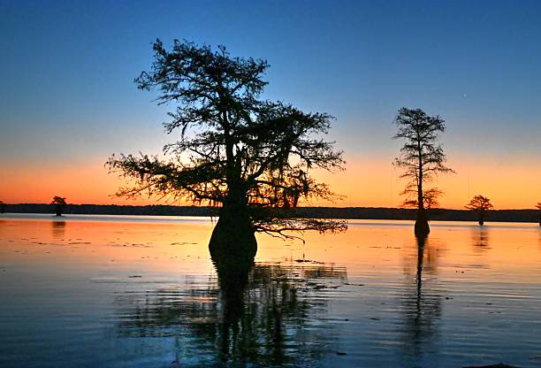 istock November Dawn on Caddo Lake 2246032605