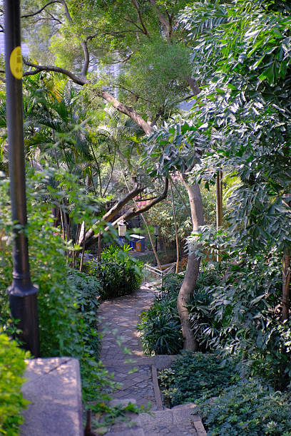 istock Peaceful Garden Pathway Through Lush Green Trees 2246034597