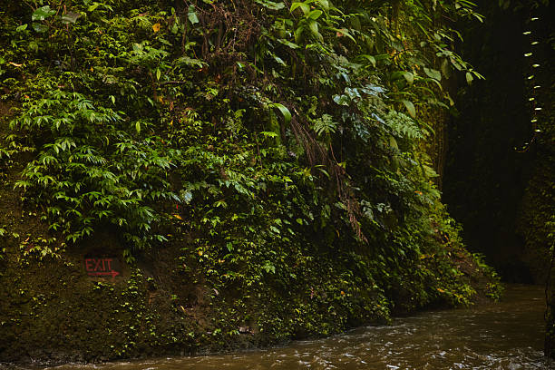 Verdant jungle wall covered in ivy and ferns frames a muddy river at the edge of a dark cave. A small red exit sign adds a human element to this wild, damp scene.