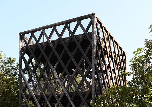 istock Wooden watchtower 2246041881