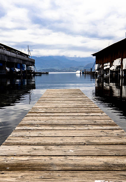 istock Wooden path by the lake 2246042348