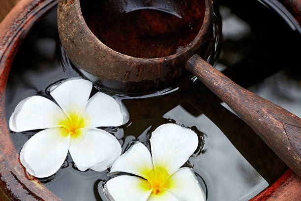 istock Wooden scoop and flowers 2246044145