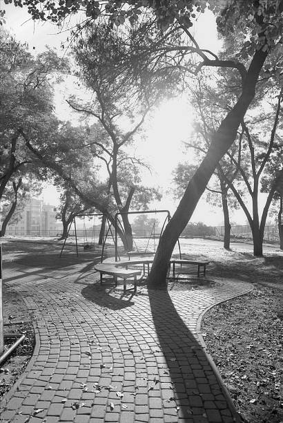 istock Shadows from the morning sun in a public park 2246044617