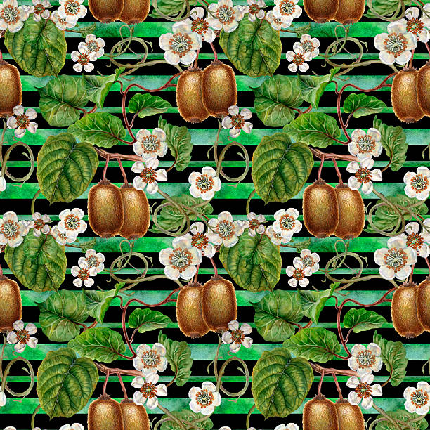 istock White flowers, green leaves, branches and brown fruit kiwi. Seamless pattern on a striped black background. Botanical template for home kitchen textiles, wrapping paper, packaging, wallpaper, scrapbook 2246044937