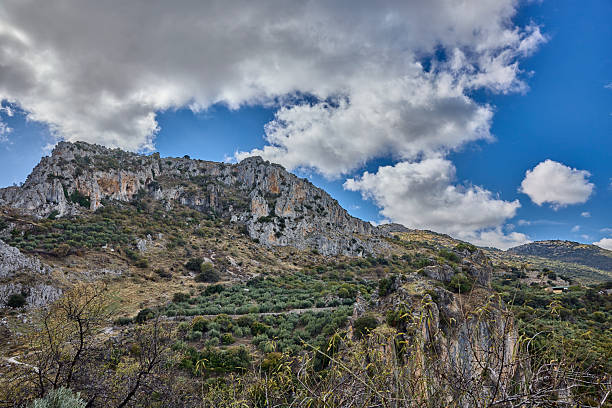 Rugged rocky mountainside exhibiting vibrant olive groves reaching toward a cloudy blue sky