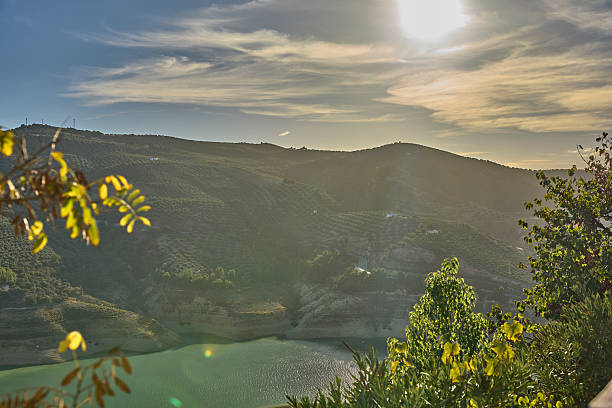 Sunlight falling on hills, olive groves, and a tranquil lake, framed by green leaves