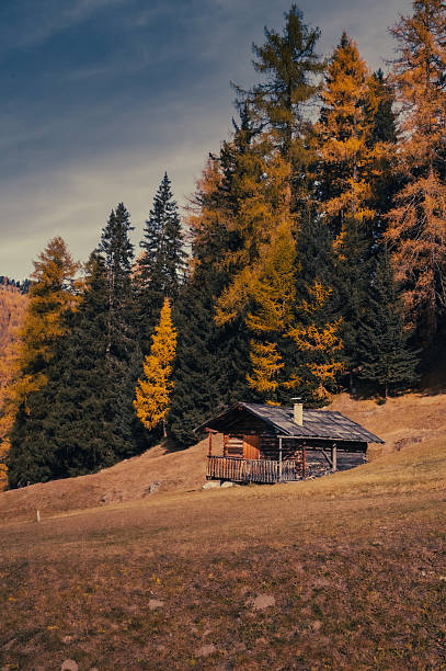 istock Rustic Cabin among Autumn Trees in Pfundser Tschey, Tyrol, Austria 2246055708