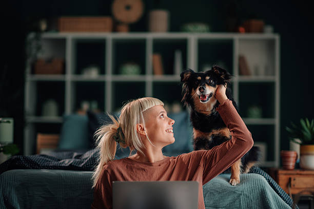 istock Young woman working from home with happy dog 2246058930