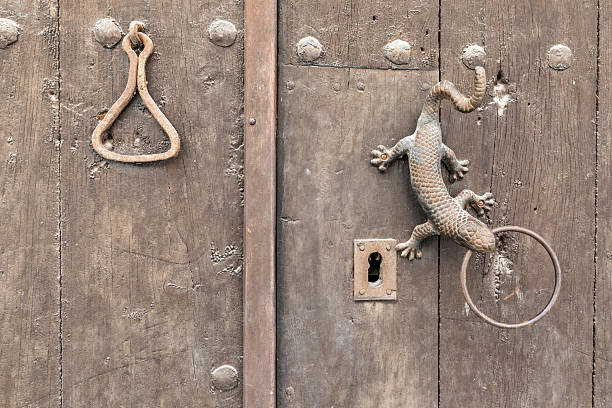 Old door detail on a house in the old town of Frigiliana, Andalusia, Spain