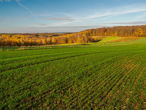 istock An autumn agricultural landscape. 2246059774