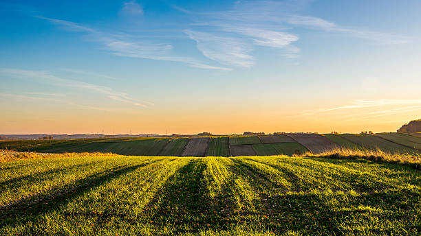 istock An autumn agricultural landscape. 2246060522