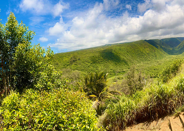 istock Pololu Valley Overlook Hawaii 2246062143