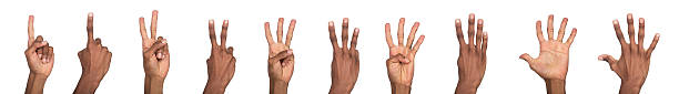 istock Hand finger sign set. Dark-skinned male showing counting gestures with index finger pointing, two, 2246062584