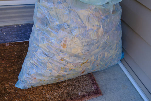 istock Freshly racked brown fall leaves in compostable Garbage bag 2246064021