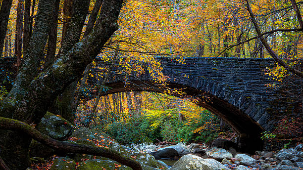 istock Serene Autumn Landscape Featuring a Historic Bridge 2246064924