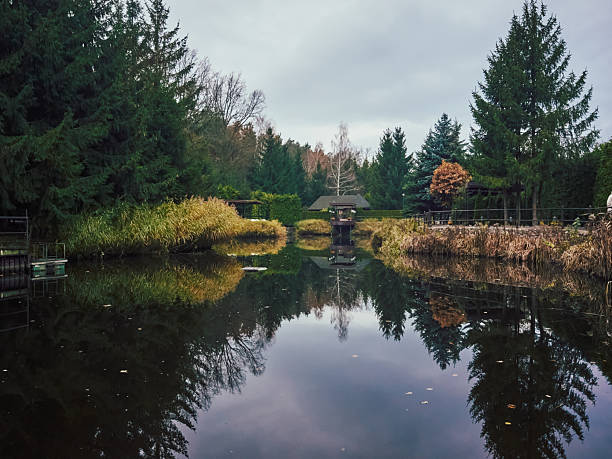 mirror pond under arched stone bridge, calm water reflecting evergreen trees and cloudy sky, autumnal shrubs