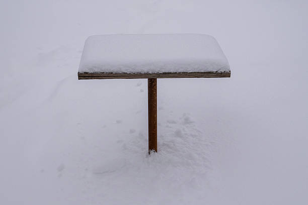 istock A small wooden table covered with snow stands alone in a quiet winter landscape. 2246072224