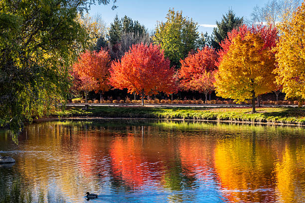 Reds, yellows, greens as colors of trees turn for the fall season in Eagle, Idaho in October