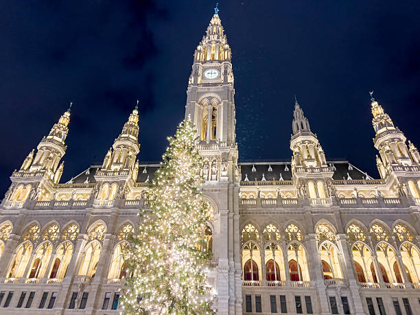 istock Vienna City Hall, Rathaus, Austria 2246074650