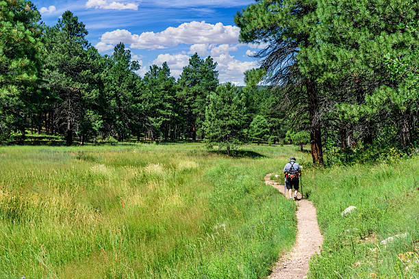 This senior woman is hiking at Pumphouse Wash, a slow moving creek that is one of the uppermost reaches of Oak Creek.  Oak Creek eventually feeds into the Verde River.  Pumphouse Wash is in the Coconino National Forest near Flagstaff, Arizona, USA.