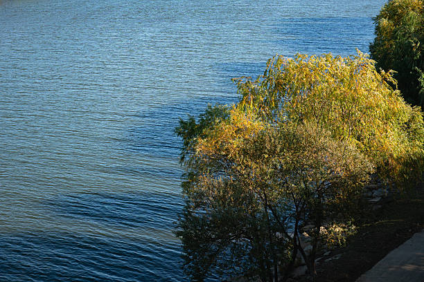 High Angle View of Autumn Trees on a River Bank with Blue Water Copy Space
