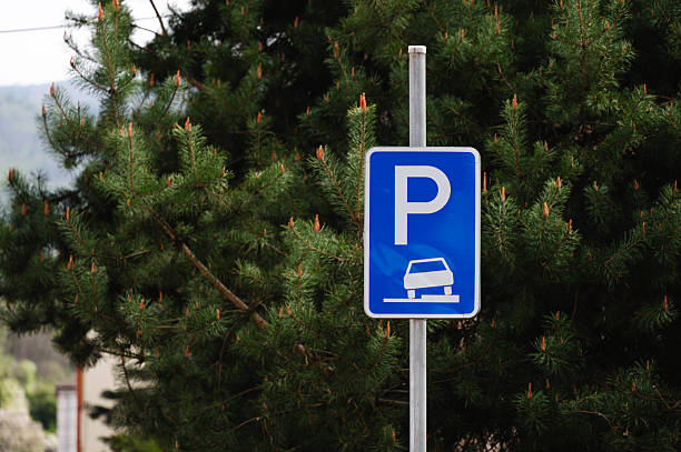 A blue parking sign with a car symbol stands in front of lush green pine trees. The clear signage contrasts with the natural background, representing the meeting point of infrastructure and nature in a peaceful outdoor setting.