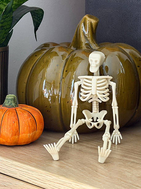 istock Close-up image Halloween decoration display arranged on wooden sideboard, plastic skeleton  sitting against glazed china pumpkin, potted dwarf mother-in-law’s tongue plant (Dracaena Trifasciata ‘Dwarf’), focus on foreground 2246085835