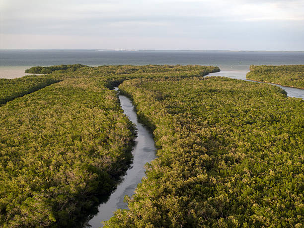 istock Florida Keys, Florida City and Key Largo Sunset 2246087793