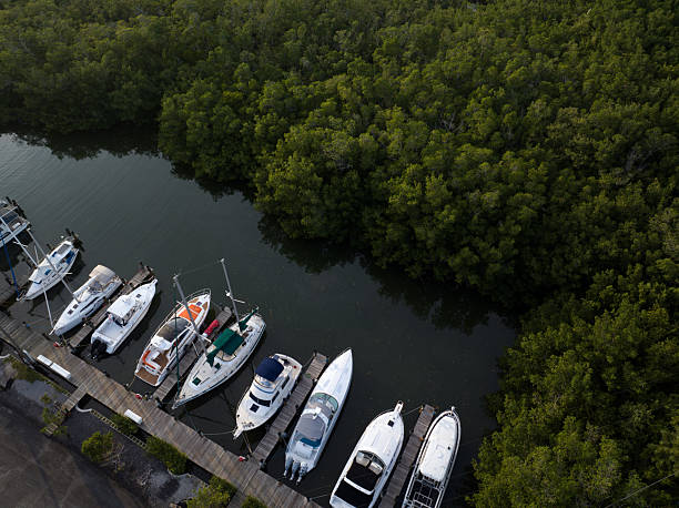 The Upper Florida Keys have many natural and manmade wonders. Mangroves, Boats, Bridges Oversees Highway and amazing sunsets.