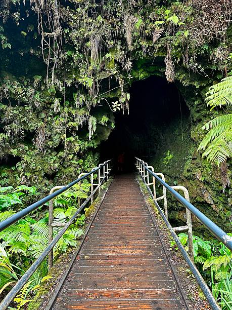 istock Thurston Lava Tube 2246088951