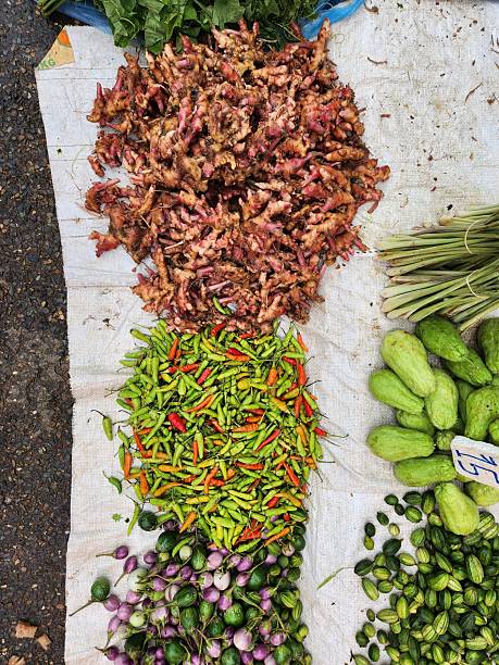 Morning Market Street Scene in Vang Vieng, Laos