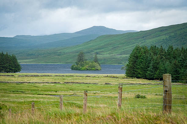 A peaceful view of Loch Sgamhaim in Strathcarron, Scotland, surrounded by rolling green hills, stone walls, and evergreen forests under a soft, overcast sky. The tranquil loch and small island create a classic Highland landscape.