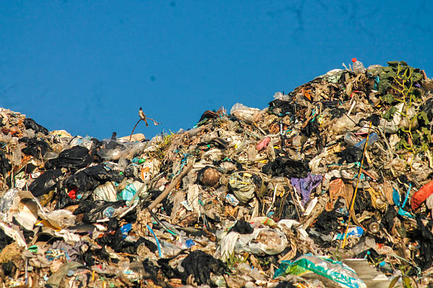 istock Garbage pile in trash dump or landfill. Pollution concept. 2246093116