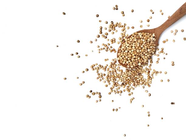 istock Dried coriander seeds isolated on white background 2246097196