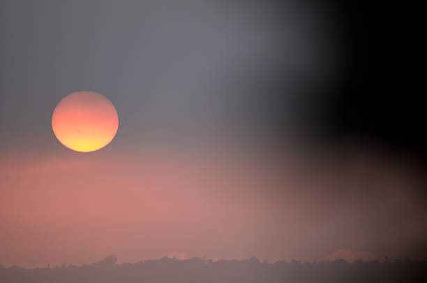 Johannesburg.