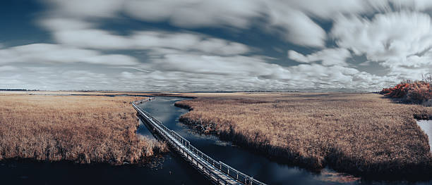 Point Pelee National Park in Southwestern Ontario represents the most southerly point of mainland Canada.  The park is also the smallest national park in Canada's national park system.  This photo depicts a panorama of the Marsh Boardwalk area of the park.