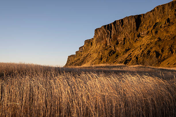 Icelandic Landscape with high grasses and cliffs at sunrise