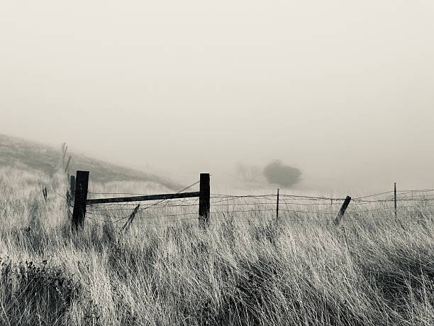 Foggy weather