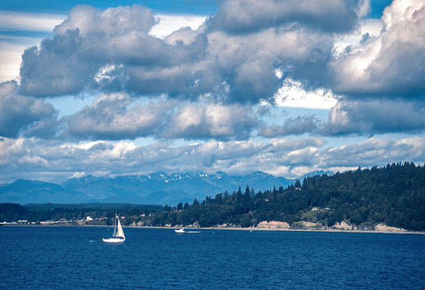 Puget Sound - Sailboat & Mountains - 1989