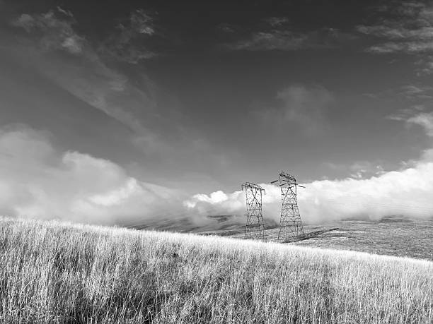 The image depicts a high-voltage transmission tower (pylon) set against a lightly cloudy sky. The tower stands prominently in the center of the image with power lines extending horizontally across the frame. In the background, there are silhouetted trees and foliage, creating a contrasting dark foreground against the bright sky. The overall tone of the image is somewhat muted, giving it a calm and subdued atmosphere.\nTuscany, Italy.\nBlack and white