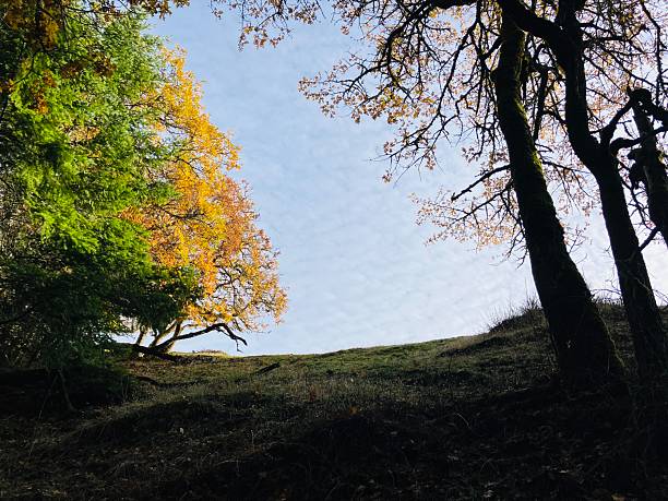 Beautiful Autumn Images