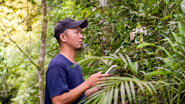 istock An Asian researcher is studying plants in the forest alone. Recording the plants using a tablet. 2246108963