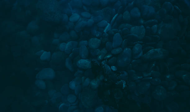 istock dark blue pebbles on the river bottom, top view 2246112852