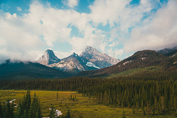 outdoor nature landscape with mountains and clouds and Trees