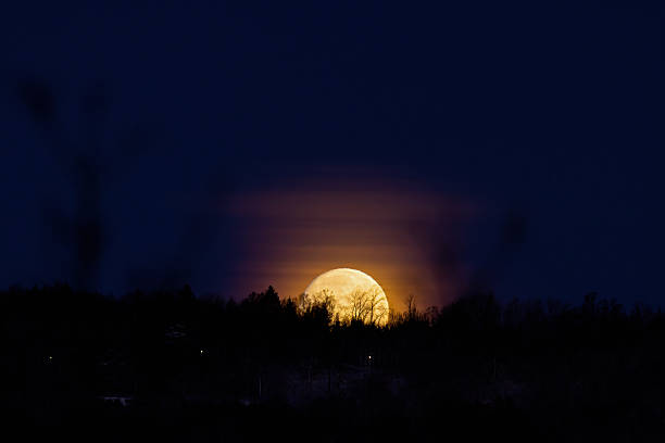 istock Moon rising over trees in silhouette a dark night 2246123026