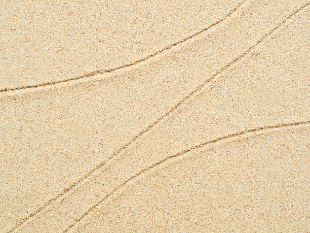 Zen garden japan