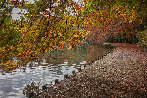 istock Augsburg in autumn, a beautiful walk around Stempflesee in Siebentischwald 2246128924