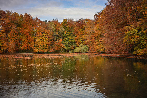 Beautiful walk in the autumn in Augsburg, round Stempflesee,with golden leaves and fantastic fall mood.