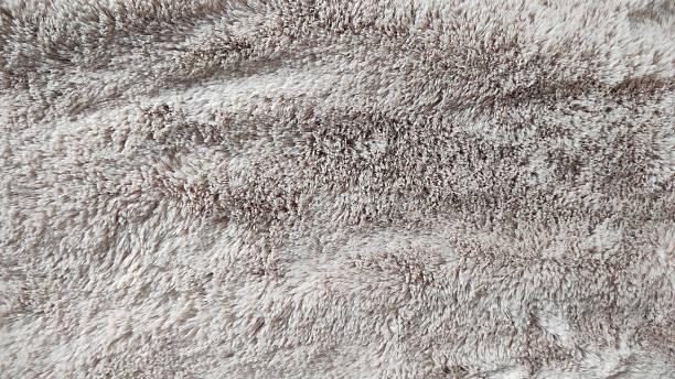 istock Soft, Fluffy Fabric Showcasing Light Brown and Cream Textures During Bright Daylight in a Cozy Indoor Setting 2246130084